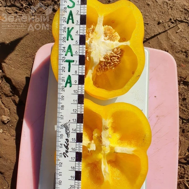 Эспартано F1 / Espartano F1 фото 3