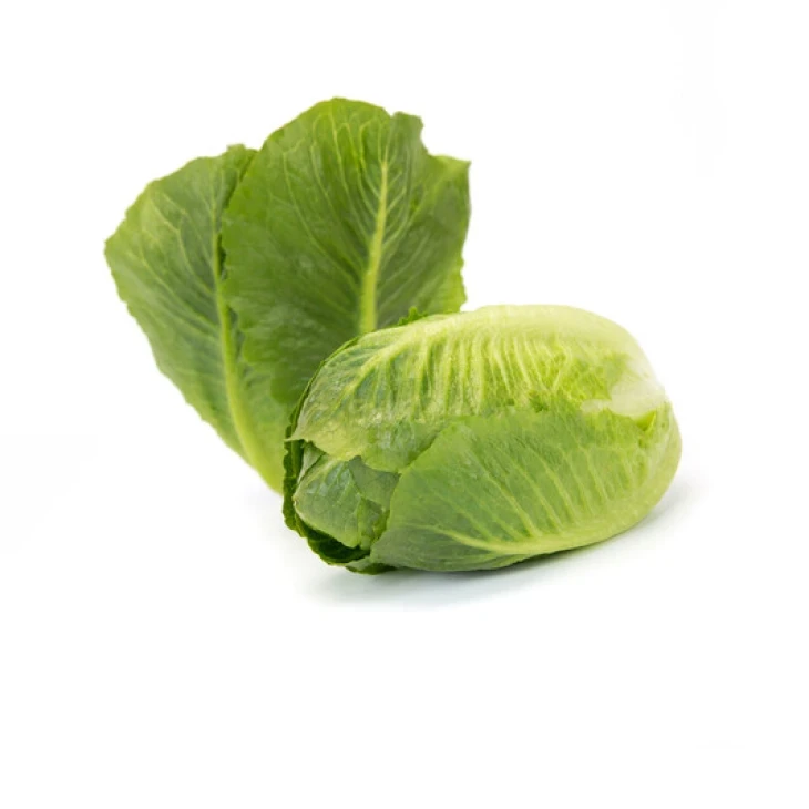 Тендита / Tendita фото 1