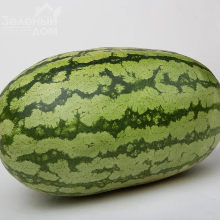 Астерикс (LS 1805) F1 / Asterix  (LS 1805) F1 фото 1