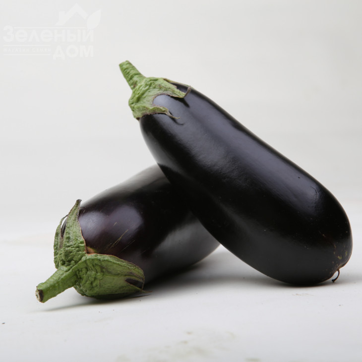 Антрацит F1 / Antratsyt F1,85-95 днів фото 2