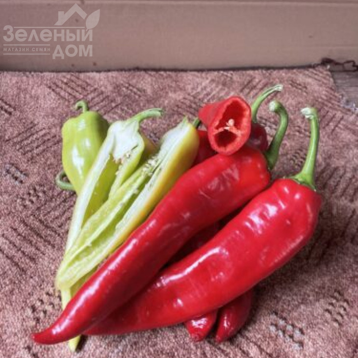 Горн F1 / Horn F1, 50-55 днів фото 1