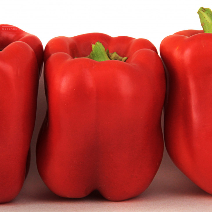 ЛС 13110 F1 / LS 13110 F1,80-85 днів фото 1