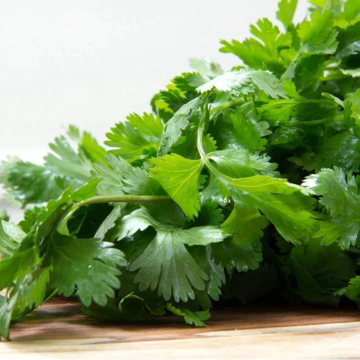 Артика F1 / Artika F1 фото 1