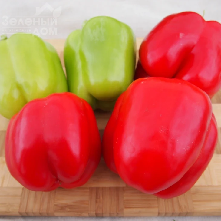 Присцила F1 / Pristsila F1 фото 1