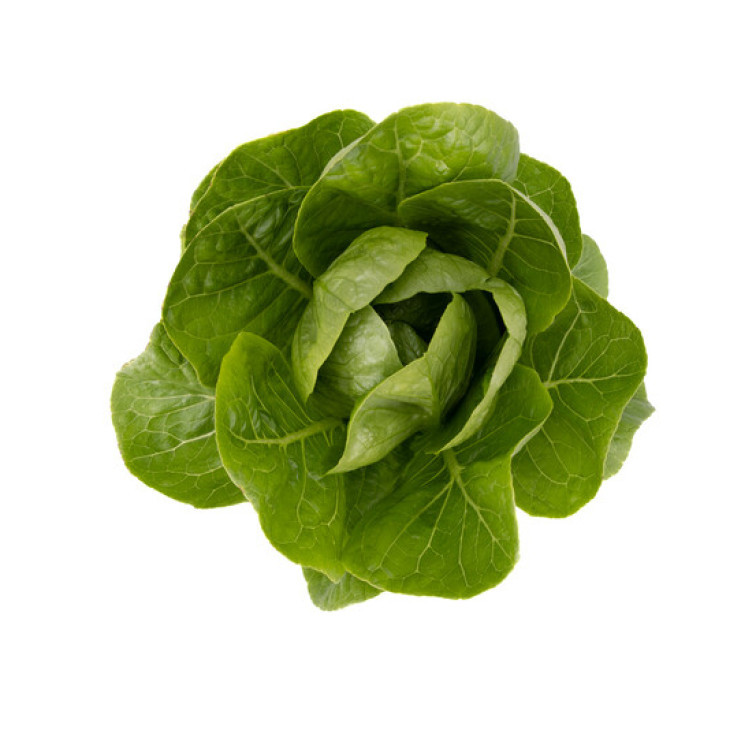 Рабелло / Rabello фото 4