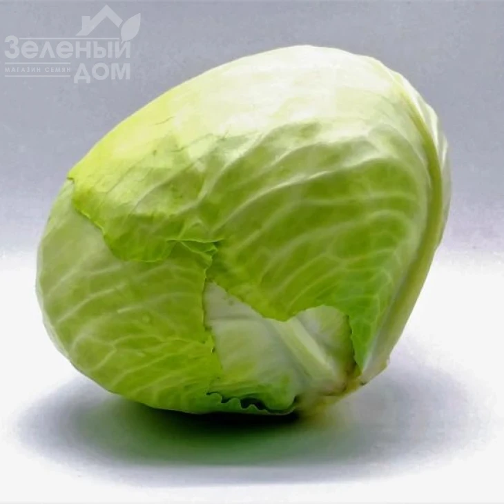 Тайсон F1 / Tayson F1, 105-110 дней фото 2