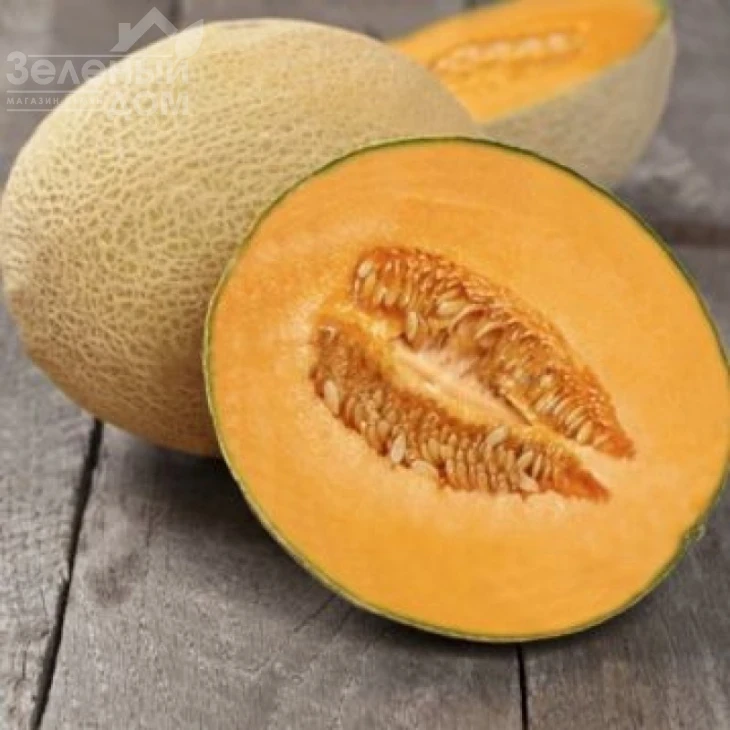 ЮГ 161 (Флоренция) F1 / UG 161 (Florencia) F1 фото 1