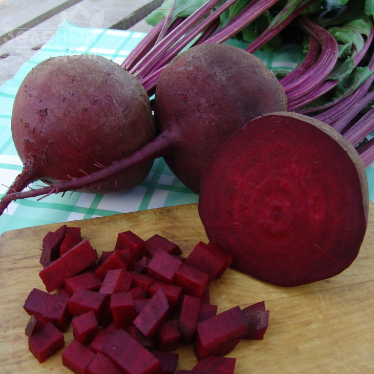 Бетіна / Betina фото 1