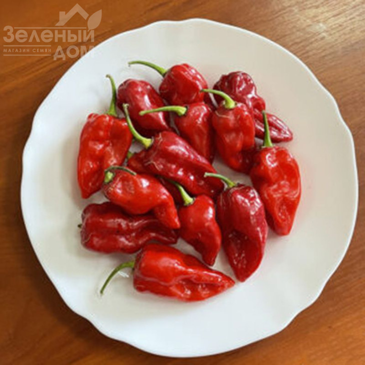 9020 F1 / 9020 F1, 60 днів фото 1