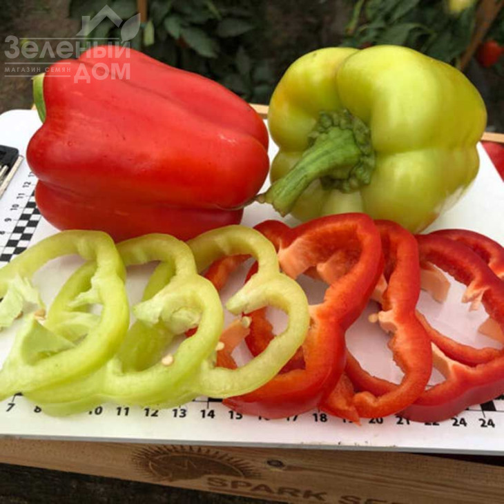 Спліт F1 / Split F1,55-60 днів фото 2