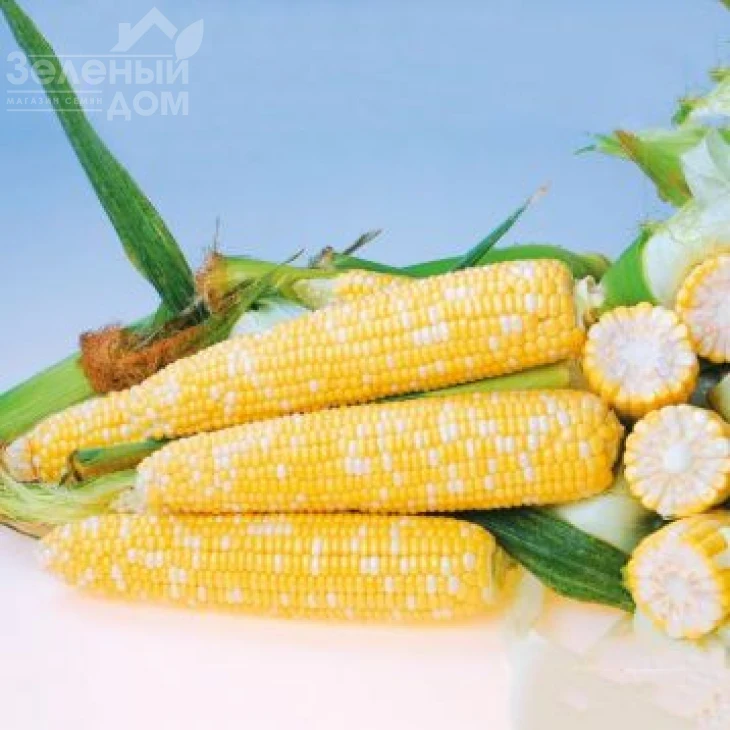 Онтарио F1 / Ontario F1,80-82 дней фото 1