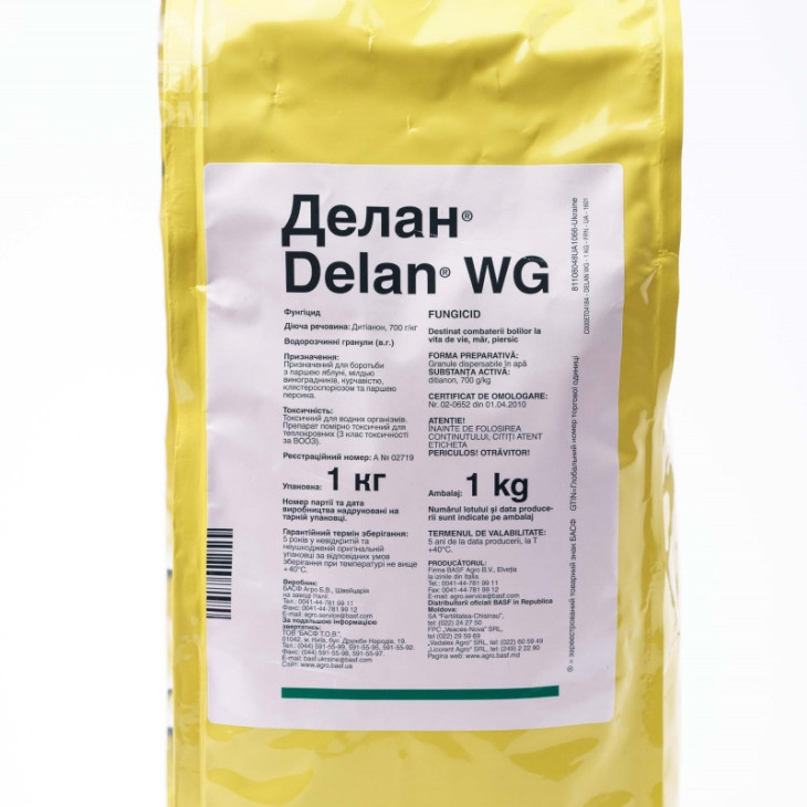 Делан / Delan WG фото 1