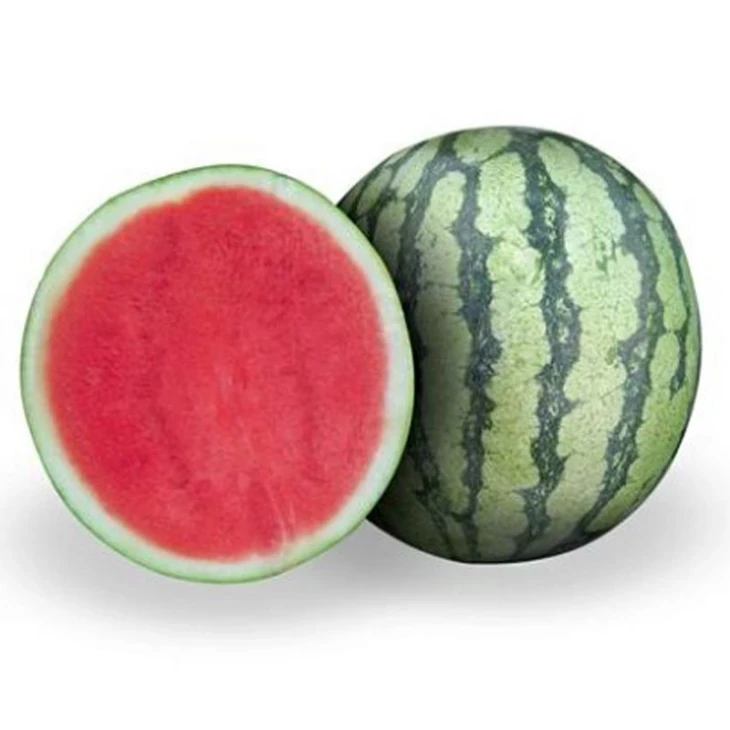 Леопард F1 / Leopard F1 фото 1