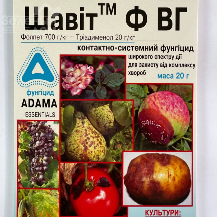 Шавіт Ф / Shavit F, ВГ фото 2