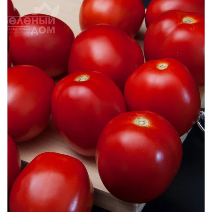 Баста F1 / Basta F1,110 дней фото 2