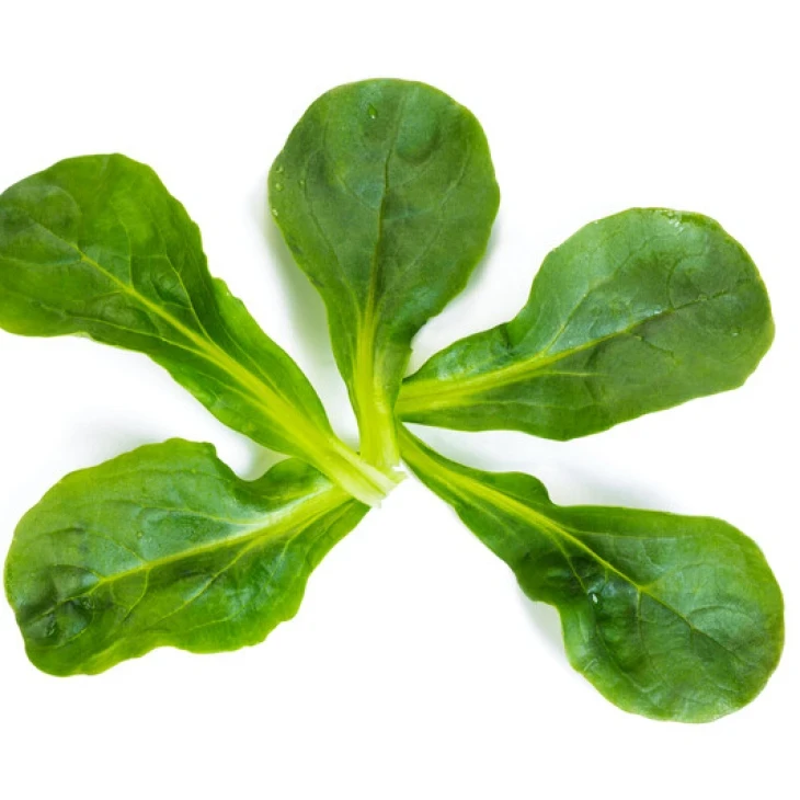 Вейрон / Veyron фото 3