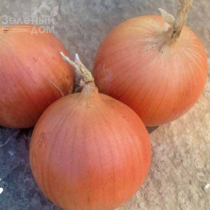 Кейс F1 / Keys F1, 250 днів фото 1