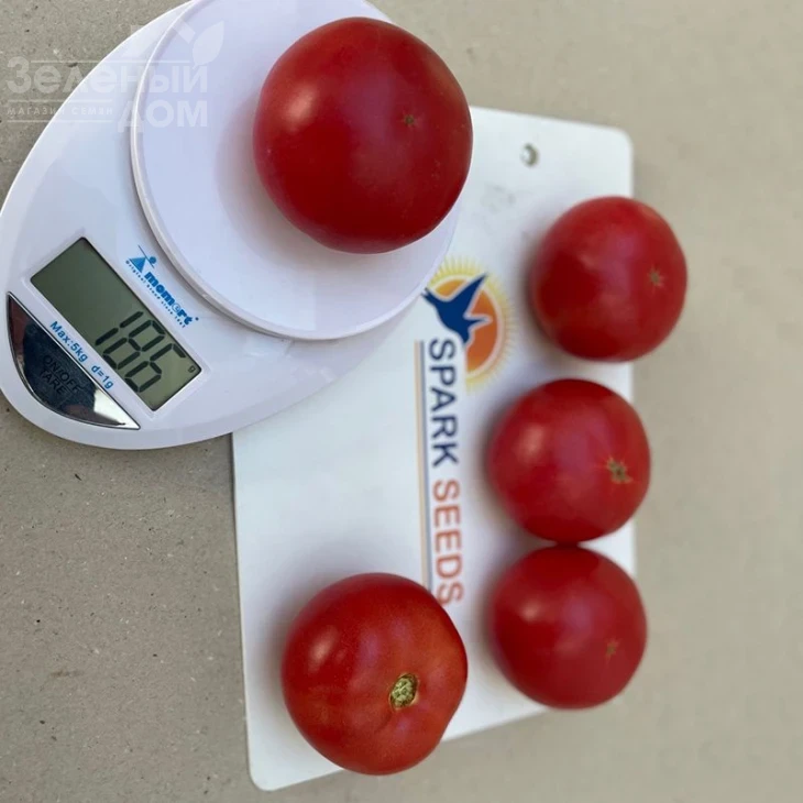 Фаер F1 / Fire F1,95 дней фото 2