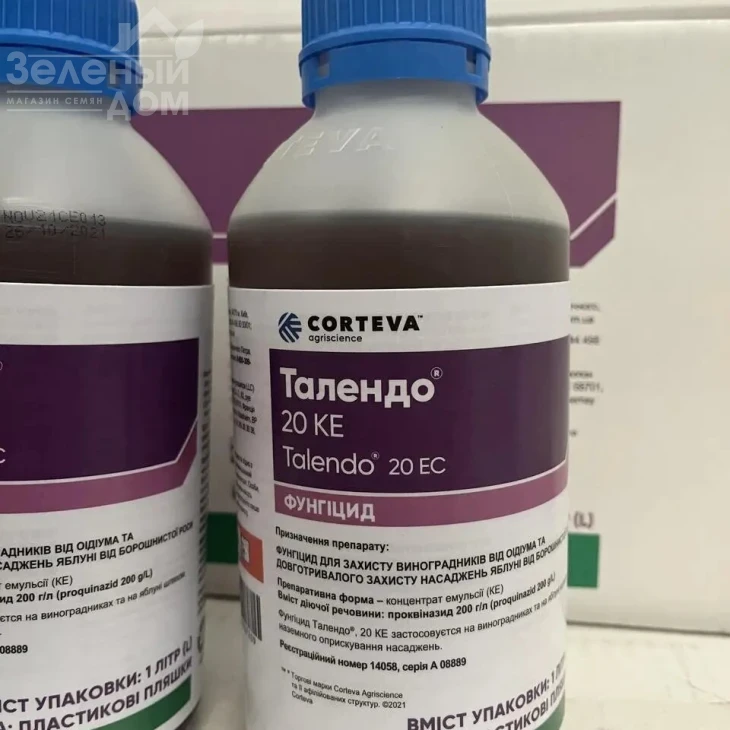 Талендо КЕ / Talendo KE фото 1