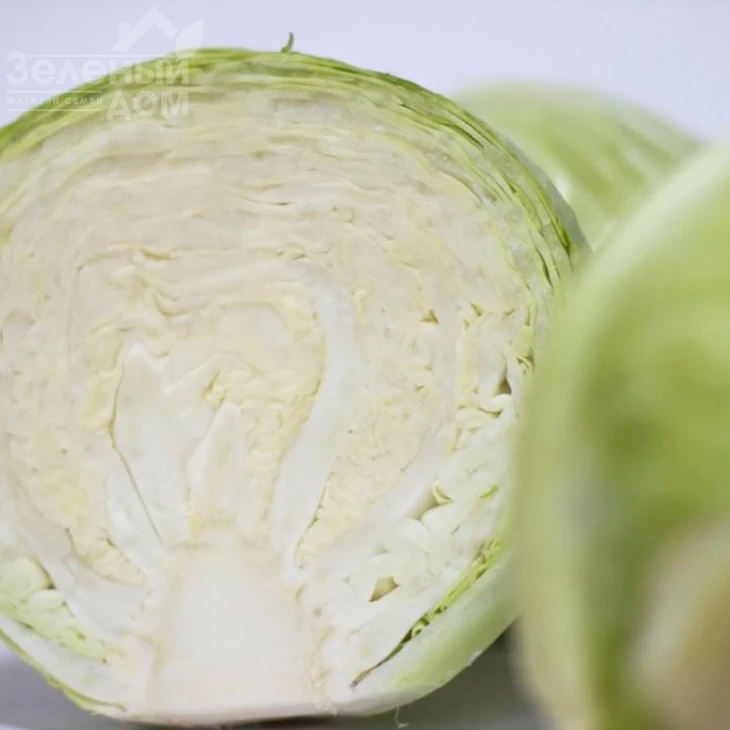 Ритейл F1 / Retail F1, 120-130 дней фото 3