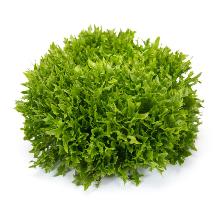 Екзем / Exam фото 2