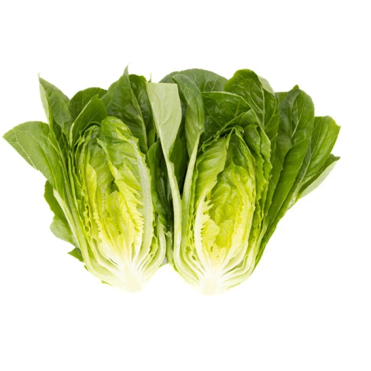 Рабелло / Rabello фото 3