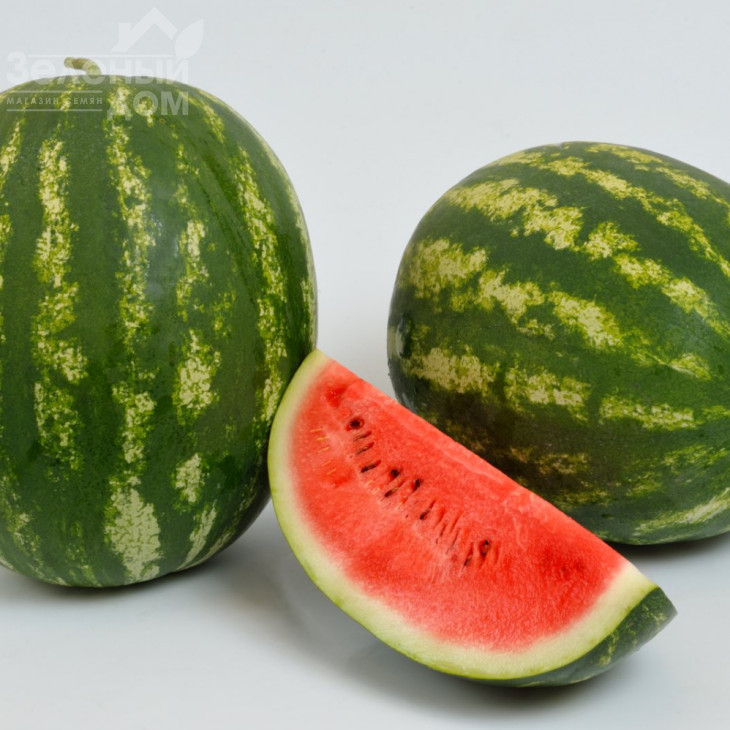 Барака F1 / Baraka F1, 62-64 дні фото 1