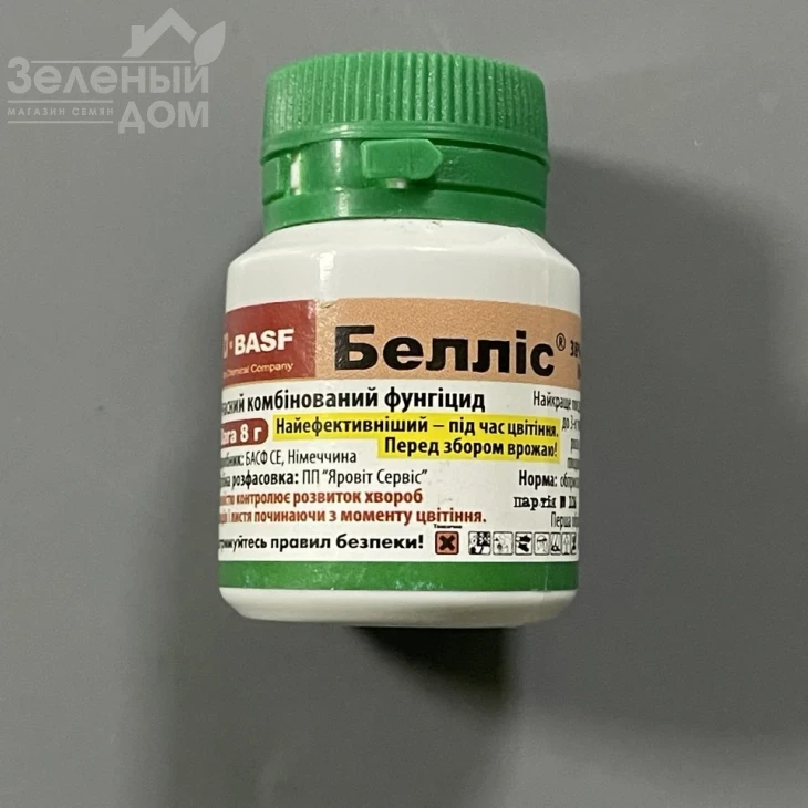 Беллис / Bellis,ВГ фото 1