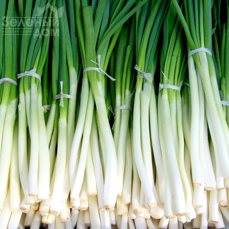 Кими F1 / Kimi F1 фото 1