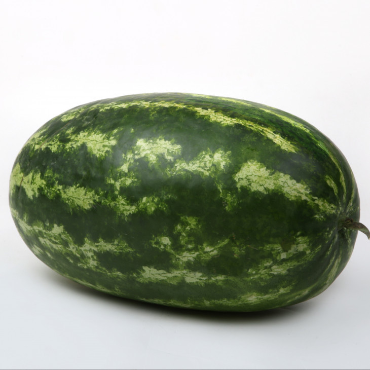 ЛС 1807 F1 / LS 1807 F1 фото 2