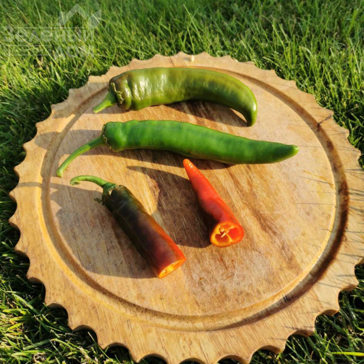 Хірош F1 / Hirosh F1,50-55 днів фото 2