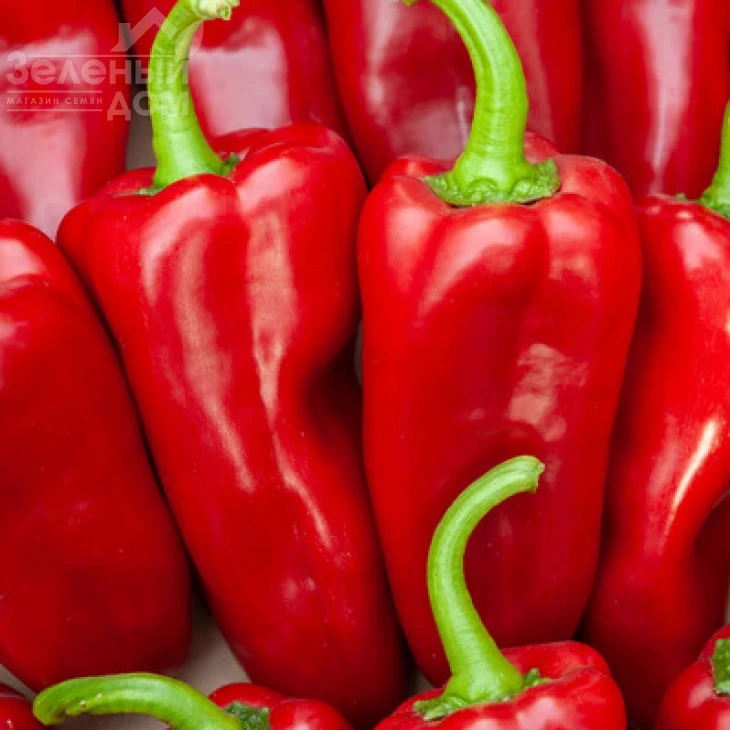 Динамика F1 / Dinamica F1, 75-77 дней фото 1