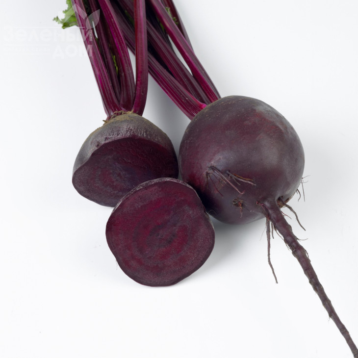 Ред Хавк F1 / Red Hawk F1, 95-100 днів фото 1