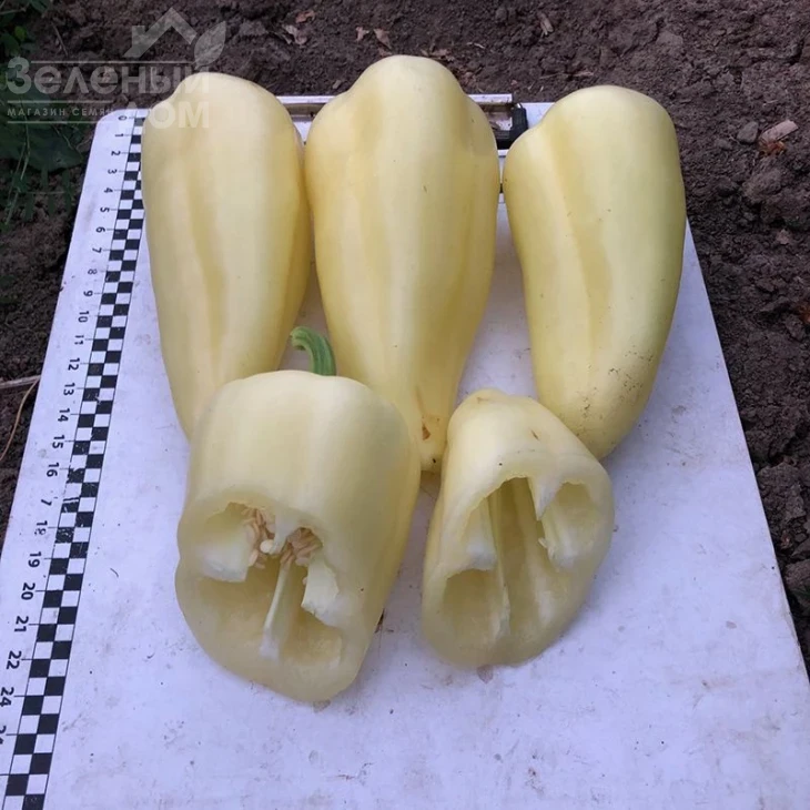 Бора F1 / Bora F1,50 дней фото 3