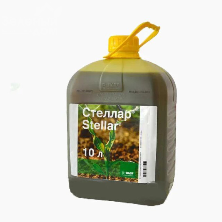 Стеллар / Stellar, ВР фото 1