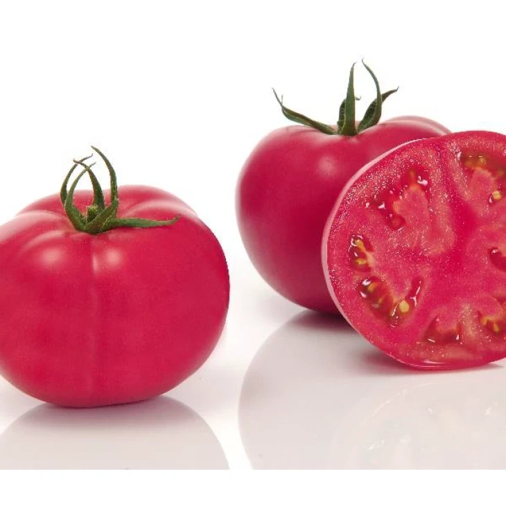 Пинк Импрешн F1 / Pink Impression F1,100-110 дней фото 1