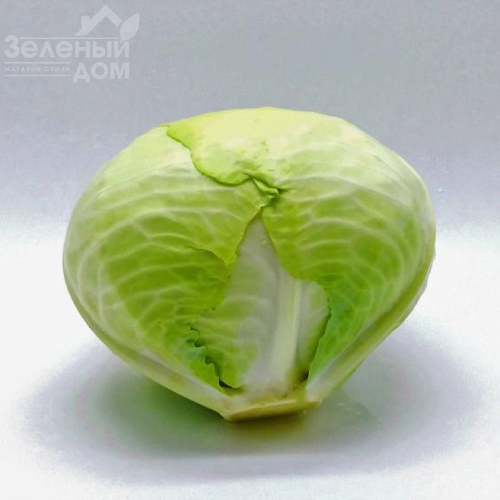 Тайсон F1 / Tayson F1 фото 3