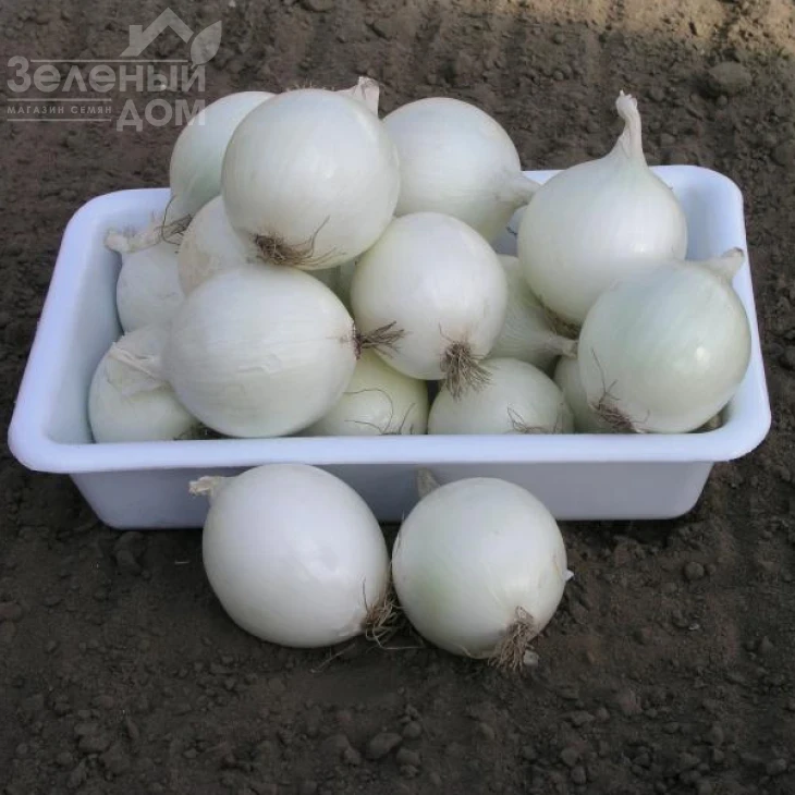 Комета F1 / Cometa F1,115-120 дней фото 1