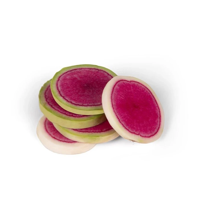 Мисато Роуз Флэш / Misato Rouz Flesh, 55-65 дней фото 1