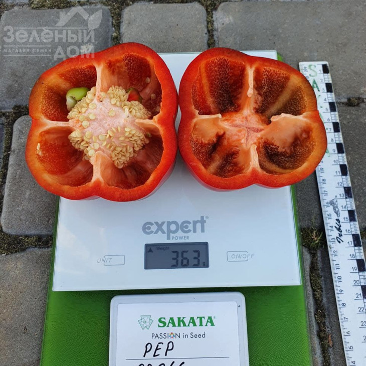 Халк F1 / Halk F1 фото 3