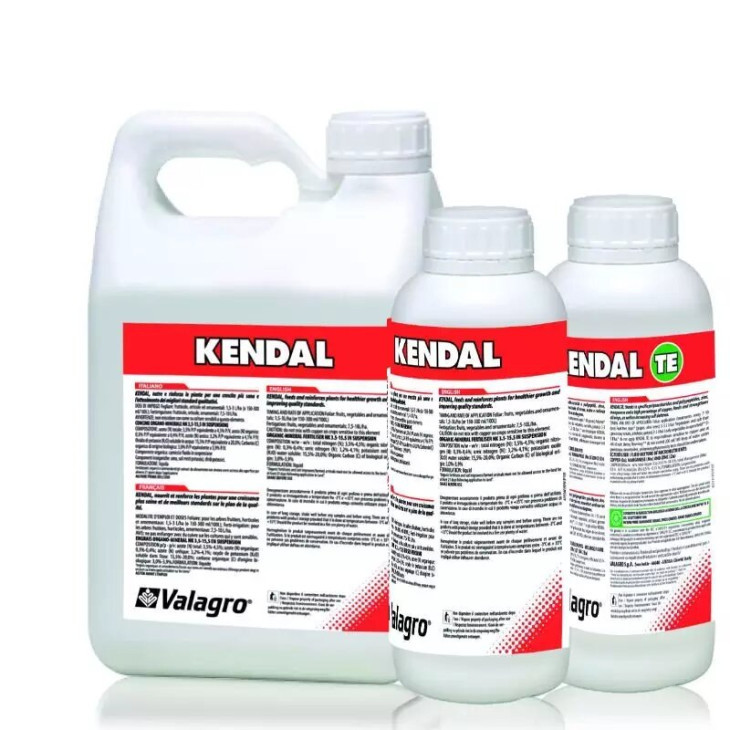 Кендал TE / Kendal TE фото 1