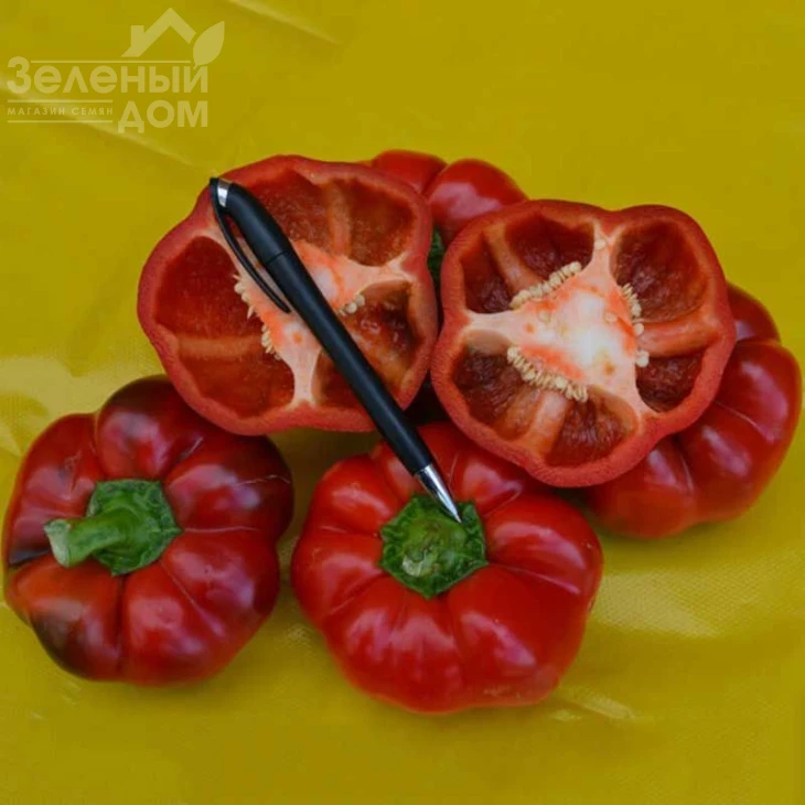 Ред Булл F1 / Red Bull F1,70 дней фото 4