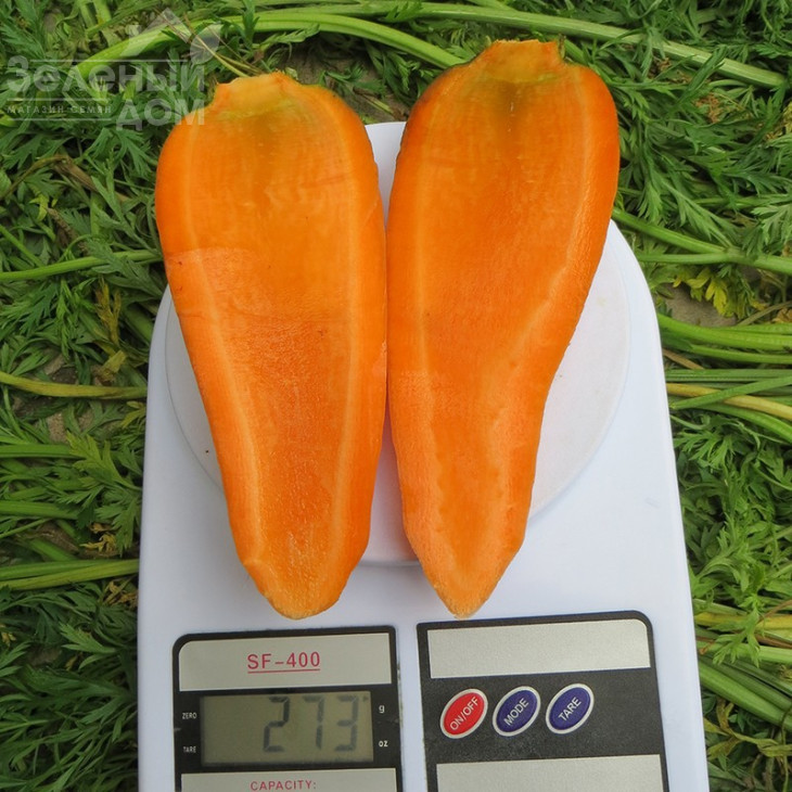 Болтекс / Boltex,110-120 днів фото 2