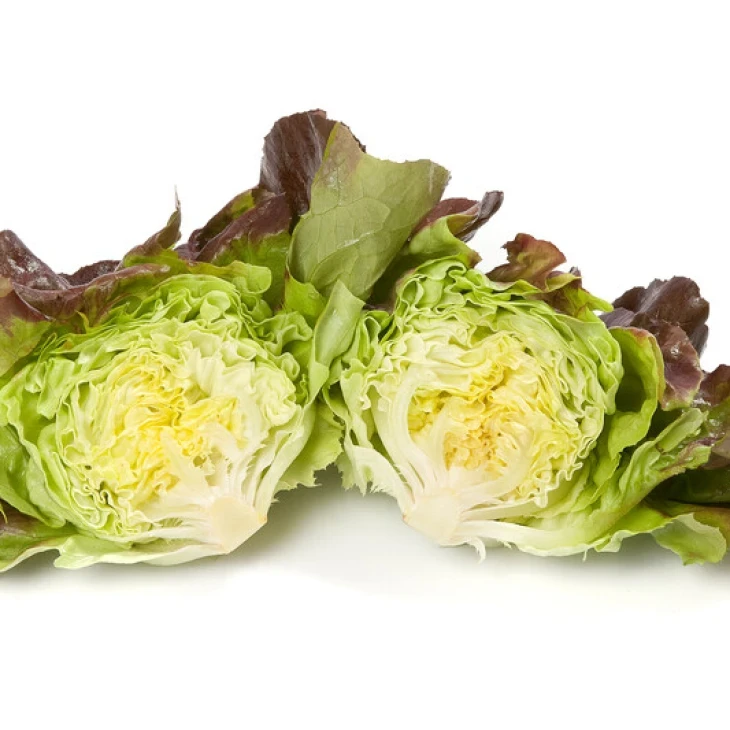 Скайфос / Skyphos фото 2