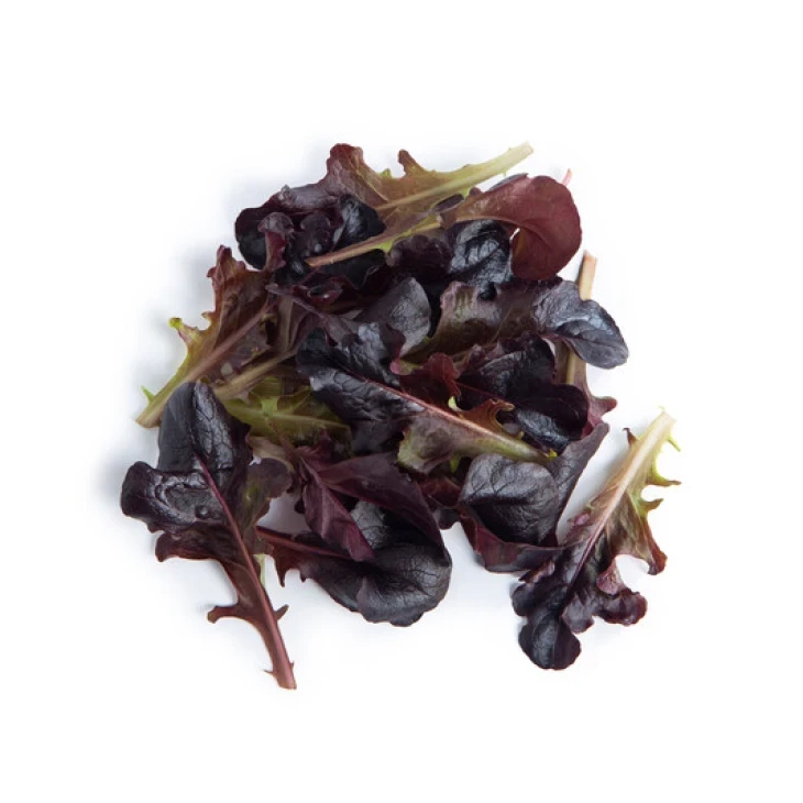 Боттас / Bottas фото 1