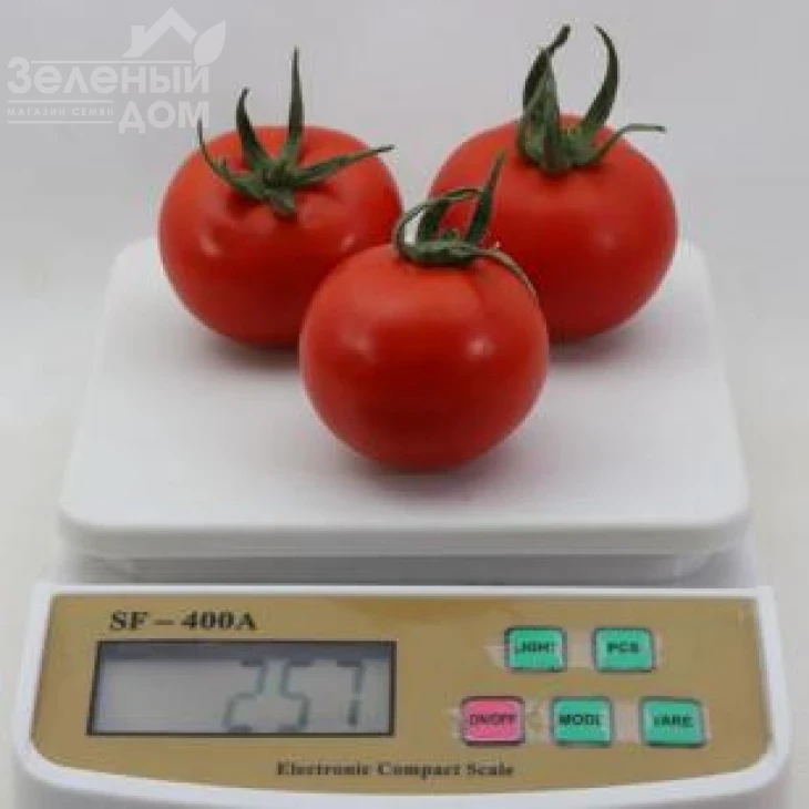 КС 134 F1 / KS 134 F1 фото 1