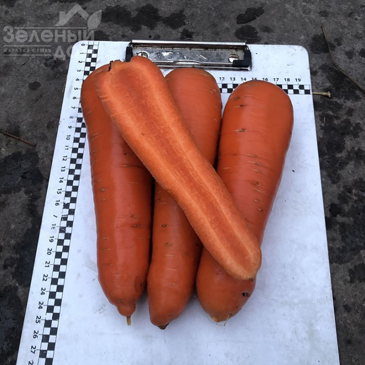 Централ F1 / Central  F1,120 днів фото 1