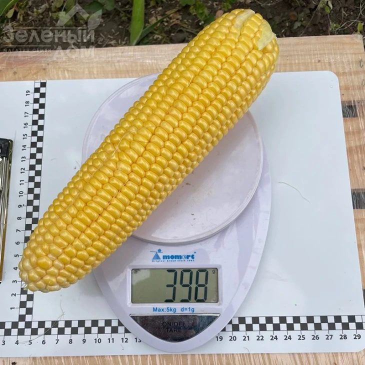 Нокаут F1 / Nokaut F1,80-82 дня фото 1