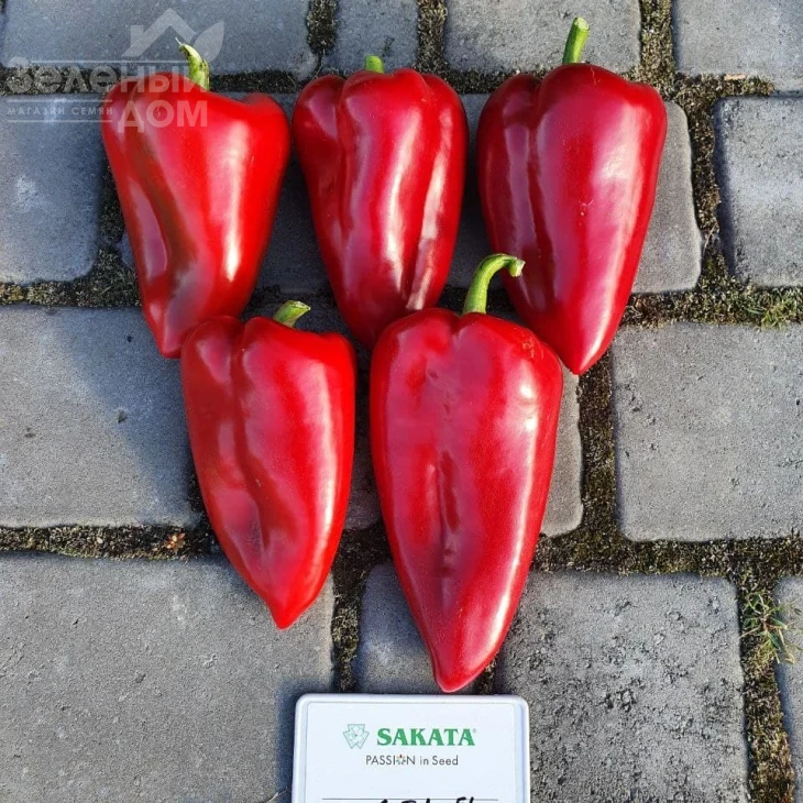 Ред Феррари F1 / Red Ferrari F1 фото 1