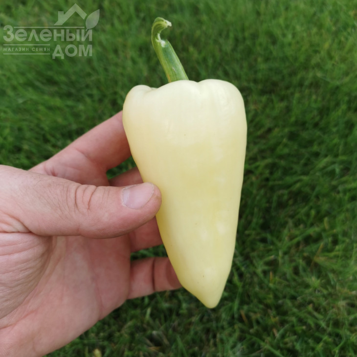 Хеопс F1 / Heops F1,60-63 дні фото 1